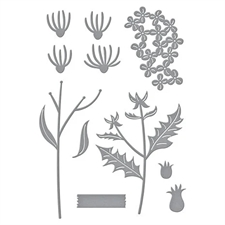 Spellbinders Dies - Field Notes Wildflowers